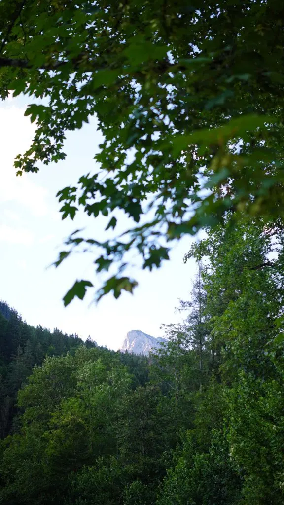 Photograph: DSC03749