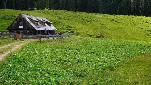 Photograph: DSC03836