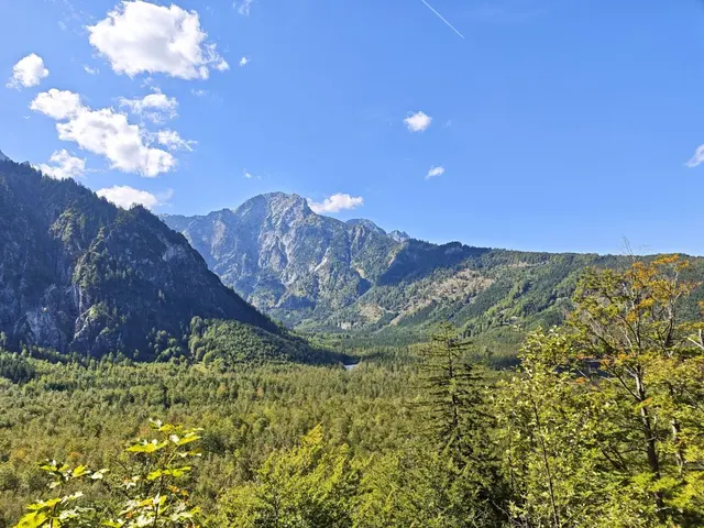 Photograph: IMG 20260919 125202