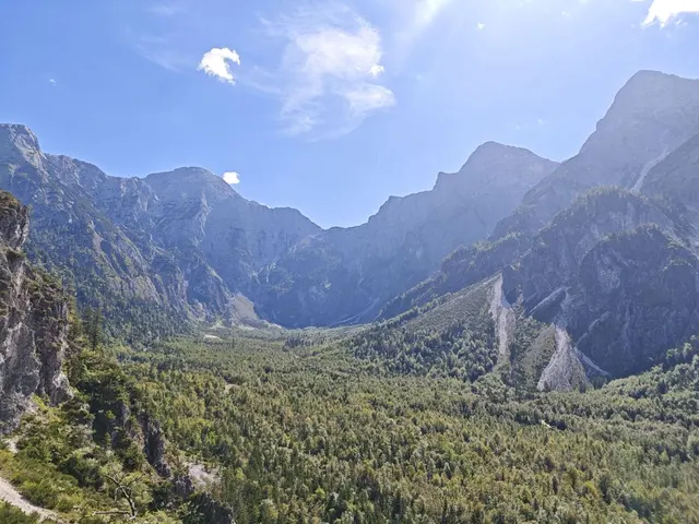 Photograph: IMG 20260919 131348