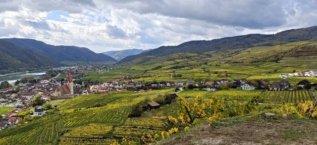 Photograph: IMG 20261011 121602