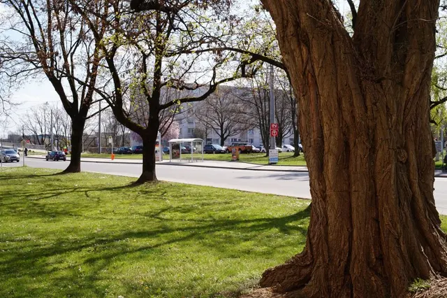 Photograph: DSC02549