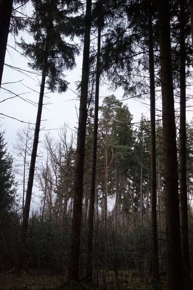Photograph: DSC02636