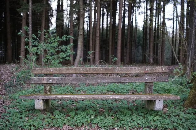Photograph: DSC02633