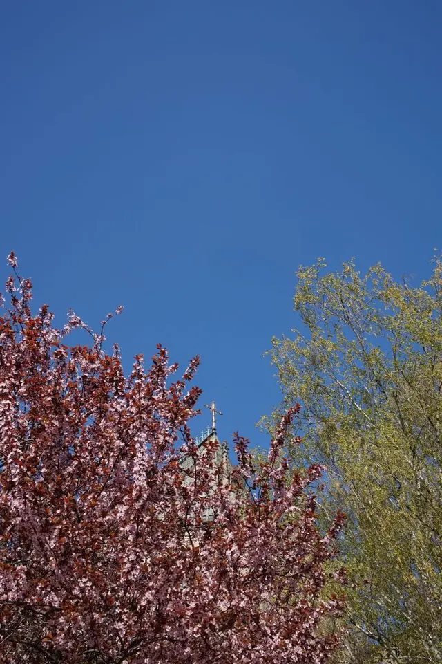 Photograph: DSC02813