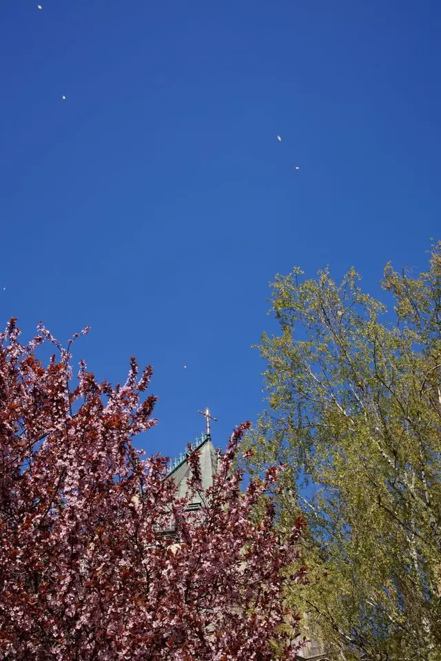 Photograph: DSC02814
